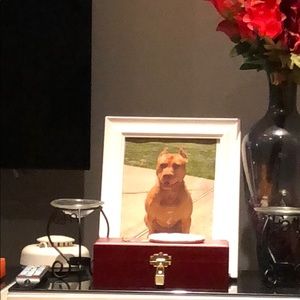 Meet your Posher, Raymond